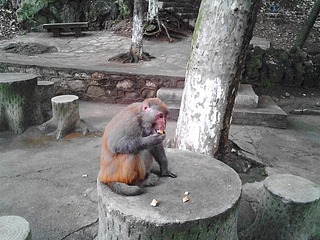 20150517_134129
