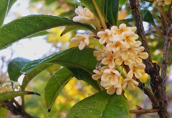 20150830_073243