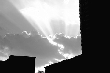 DSC_2296_