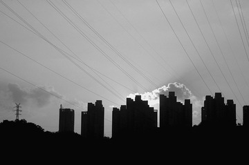 DSC_2311_