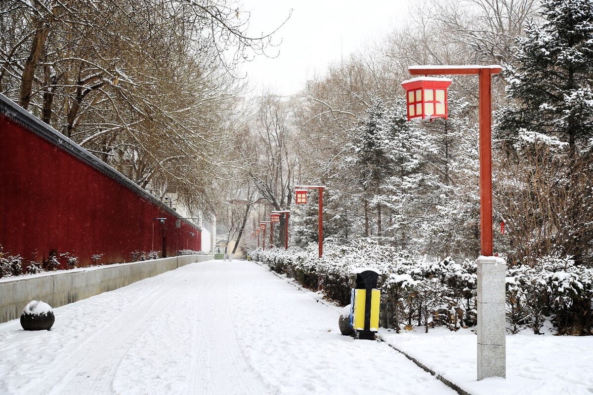 雪后拉萨