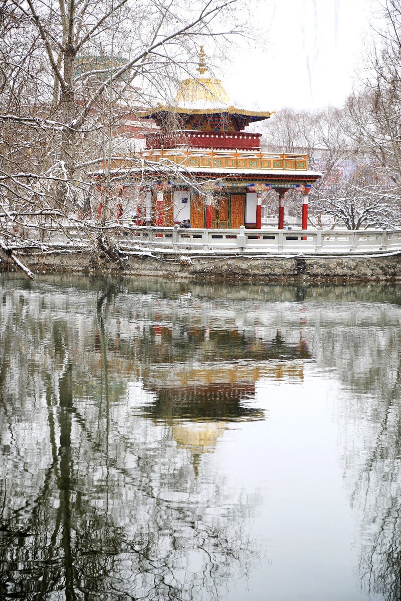 雪后拉萨