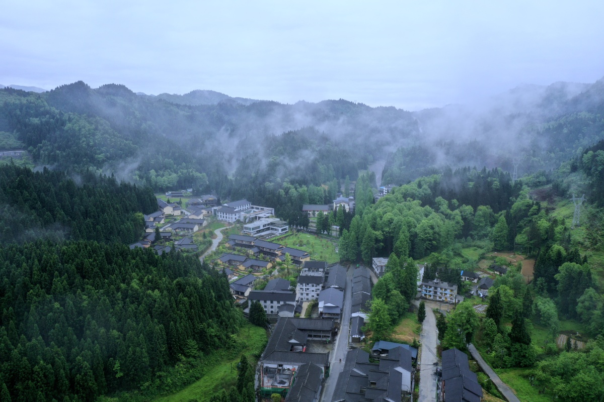 湖北恩施鄂西林海坪坝营国家森林公园