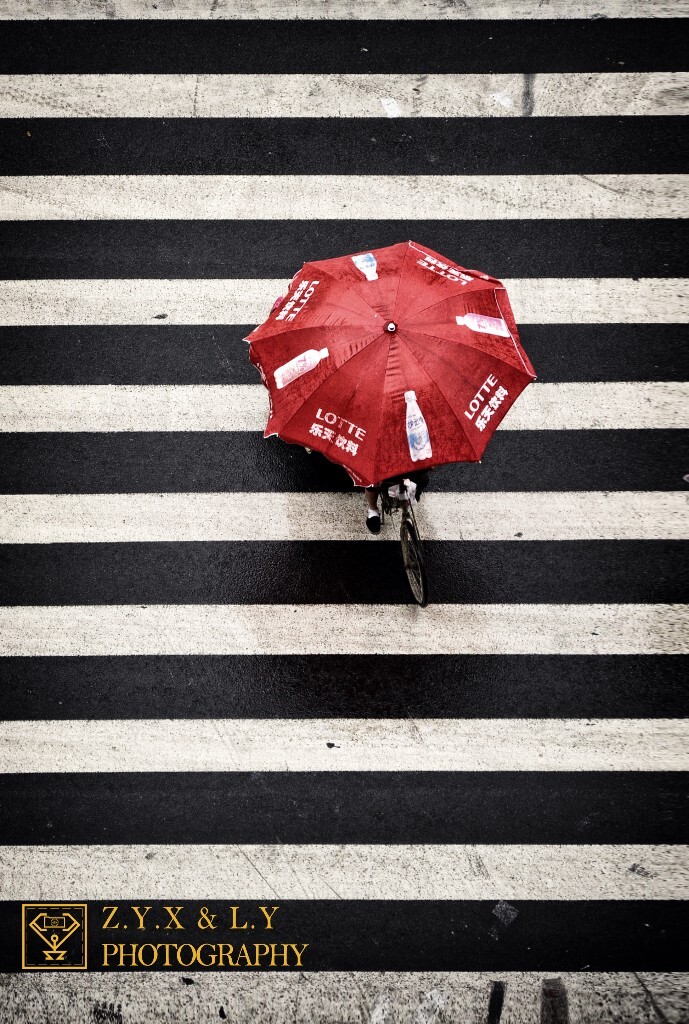 9月，成都街头，一位人力车车夫正在大雨中为了生计骑行着。