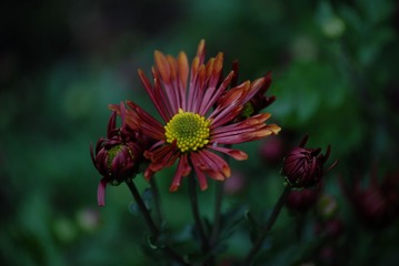 ABM_0551