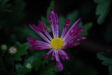 ABM_0552