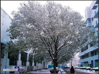线条