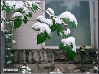 滑落