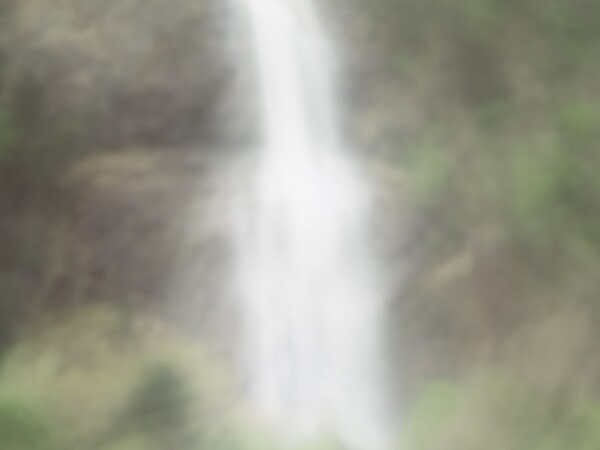 14040260.jpg
