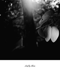 P5260321