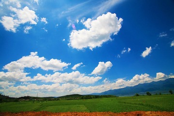 IMG_8375.JPG