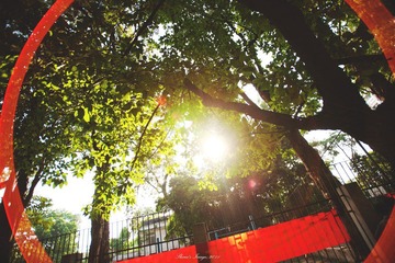 IMG_96001.JPG