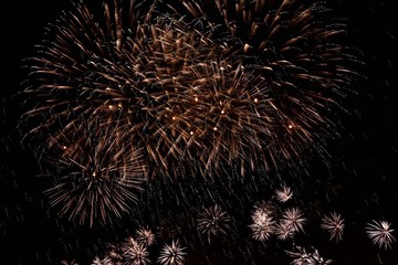 IMG_45521.JPG