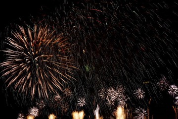 IMG_45591.JPG
