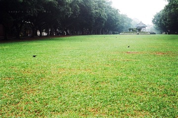 010900301.jpg