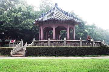 010900311.jpg