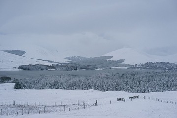 Snowview1 xiao