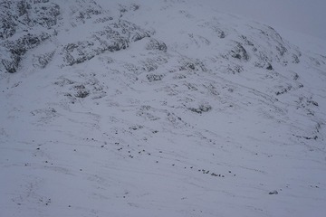Snowview7 xiao