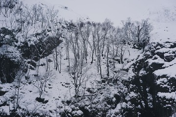 Snowview9 xiao