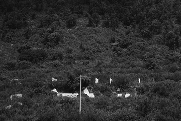 Hide and Broken bw xiao