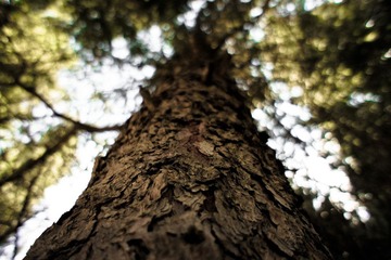 _DSC2156.jpg