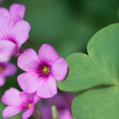 _DSC1148.jpg