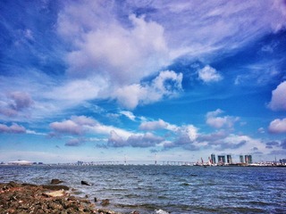 DSC_0305_1_1_2