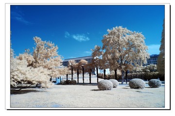 P1040604-1_nEO_IMG