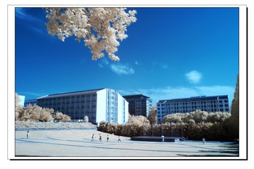 P1040606-1_nEO_IMG