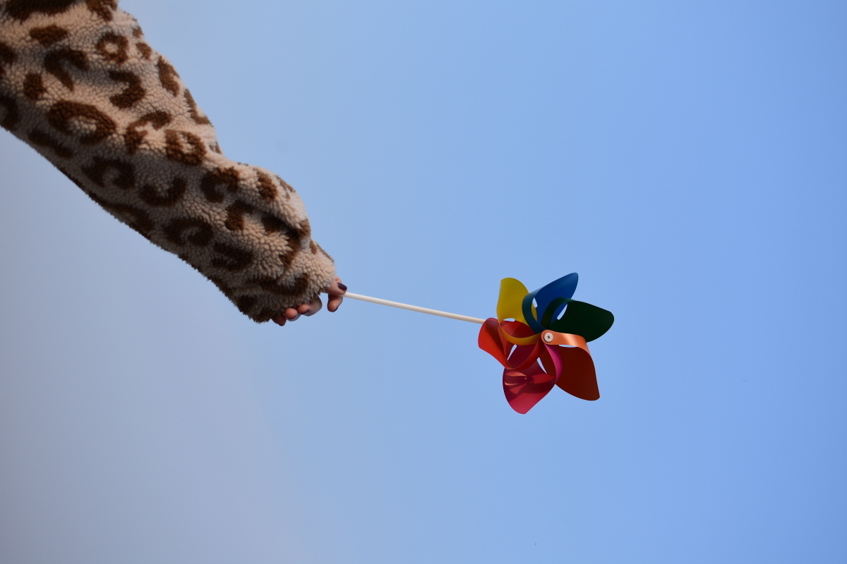 再发一张手拿风车的