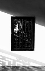 L1002817