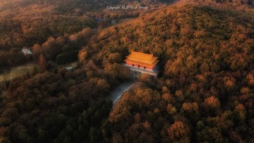 DJI_0120