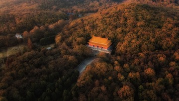 DJI_0120