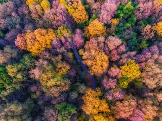DJI_0127