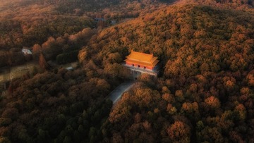 DJI_0120