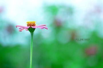 DCS_0341
