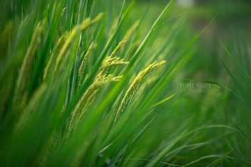 DCS_1632