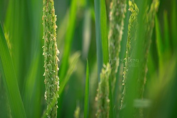 DCS_1634