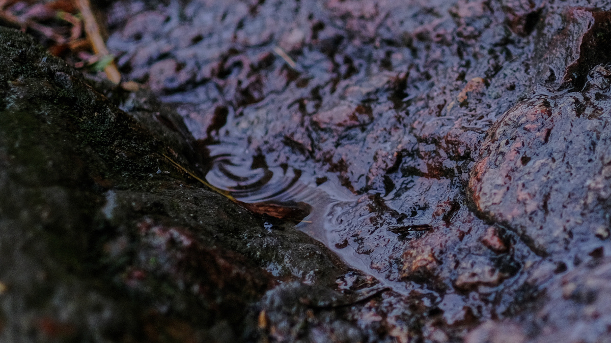 雨后水滴顺着岩石滴落