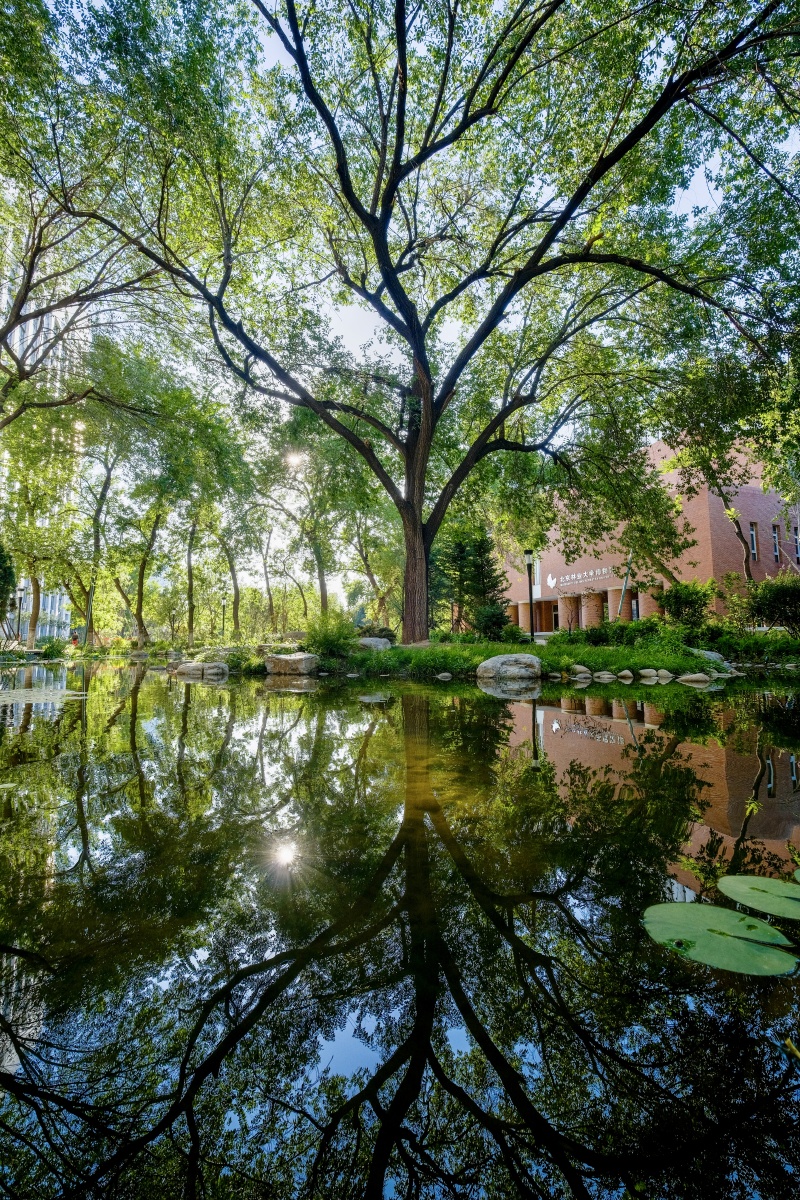 北京林业大学森林之心