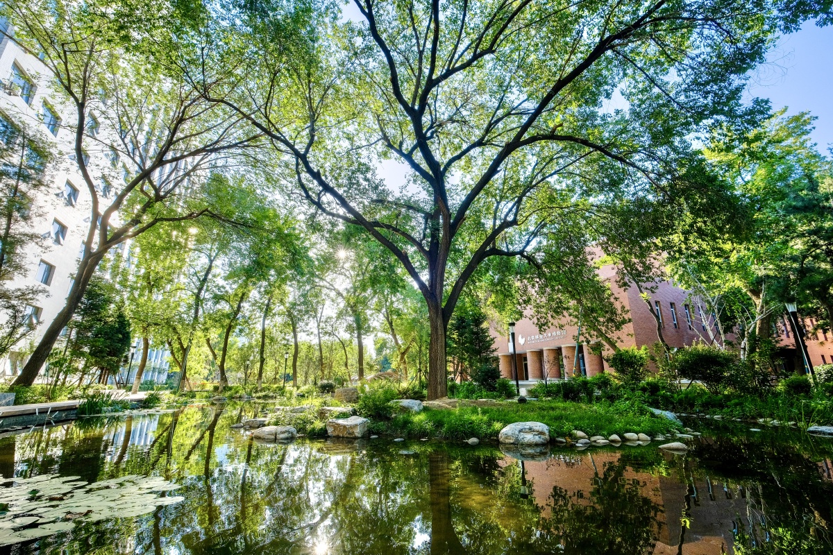 北京林业大学森林之心