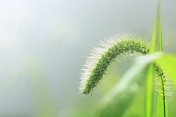 2014.7.11(21)