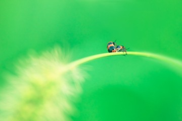 IMG_6132-编辑-1