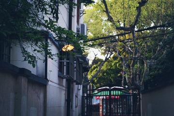 DSC09353_