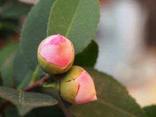 P1015493