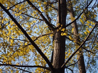PC080750