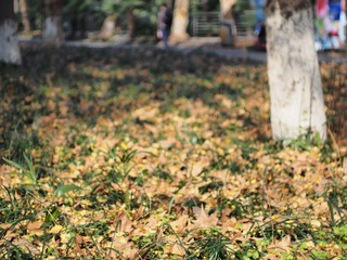 PC080751