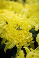1F2F0A47-EACD-4A65-9F02-CE419DAFBD46/L0/001