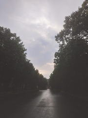 1000059932