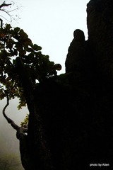 DSC05338.JPG